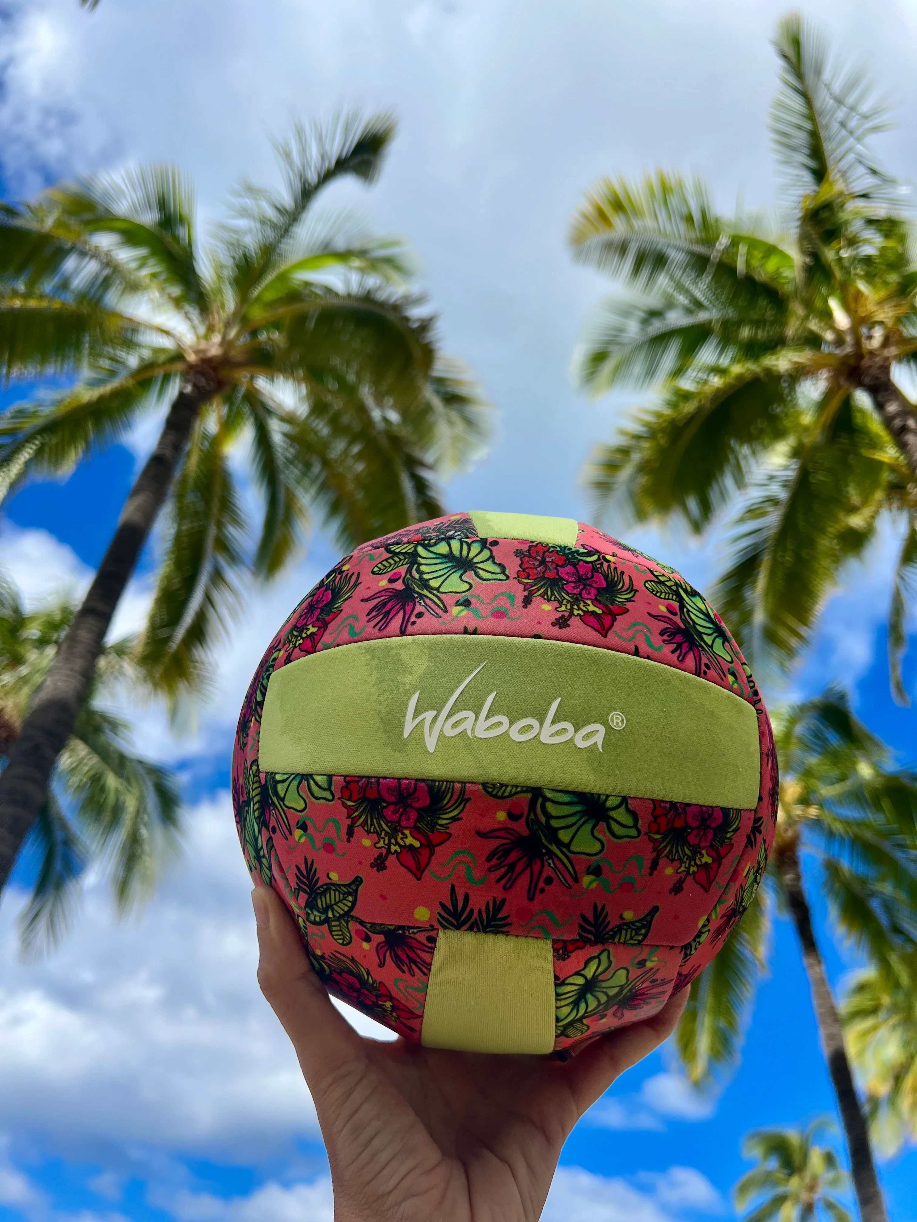 Beach Volleyball + Pump - Image 5