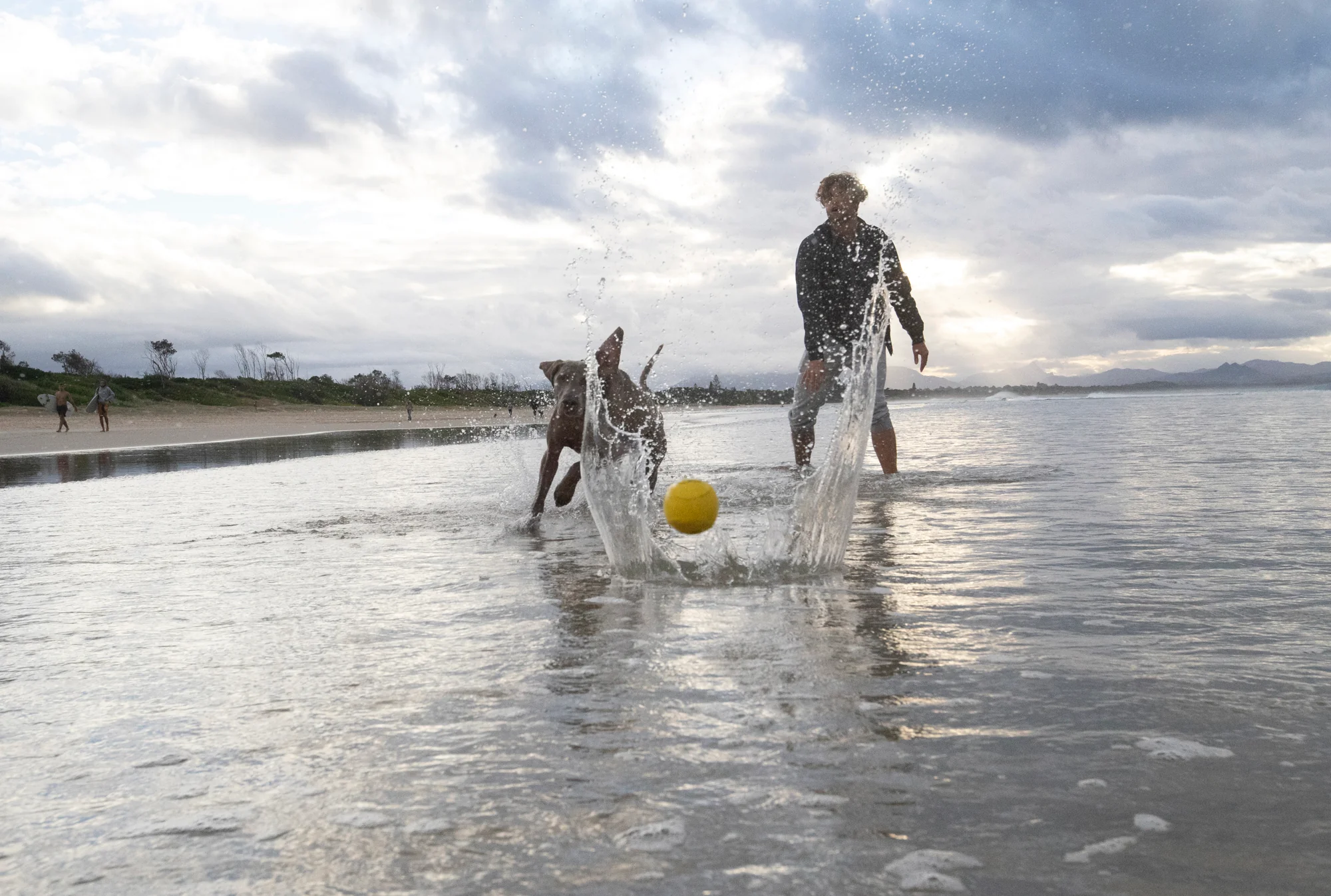 Fetch Dog Ball - Image 4