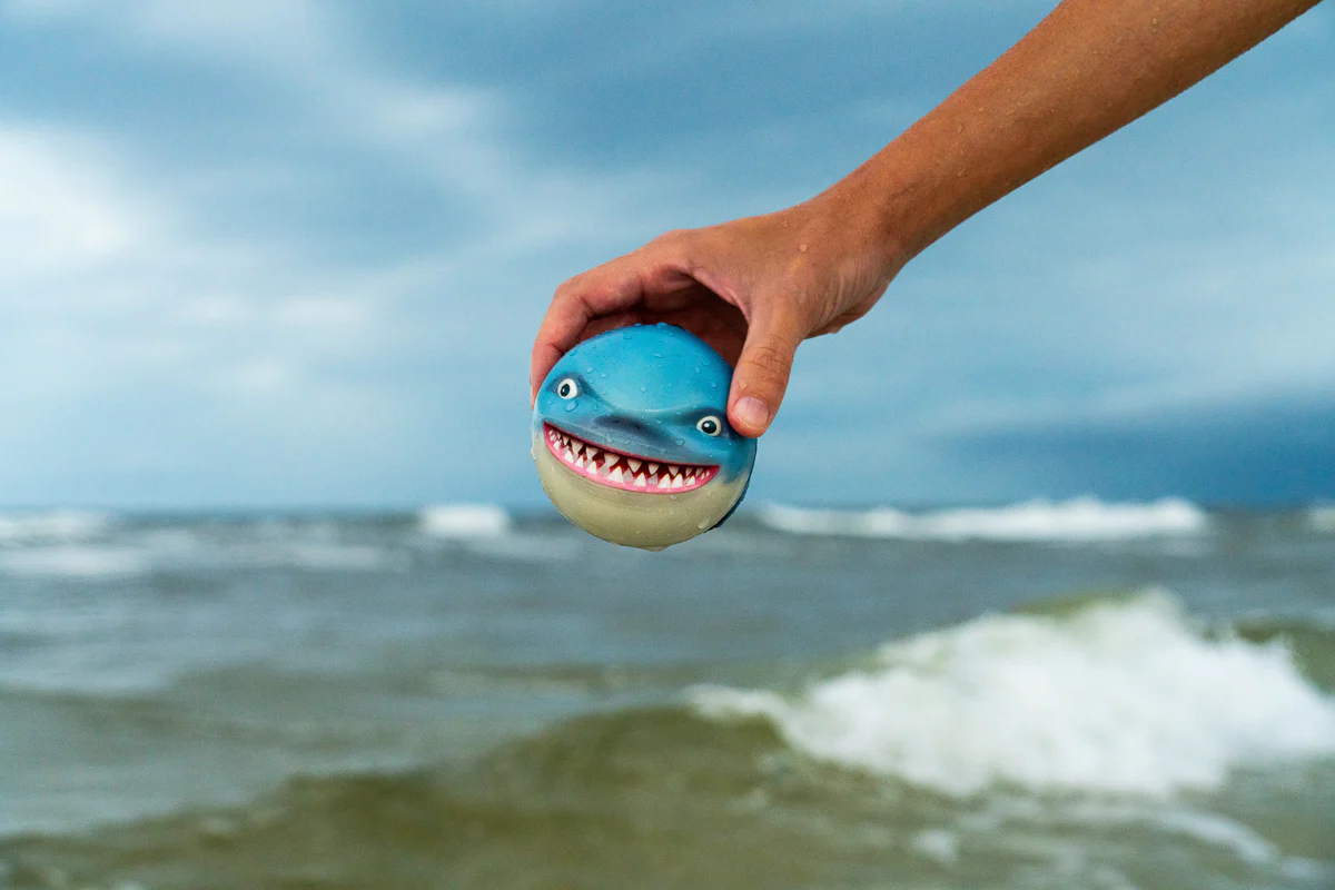 Sharky Shark - Image 4